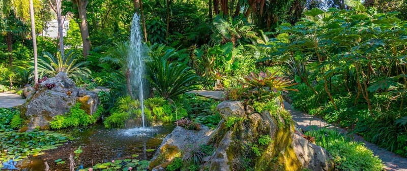 La Mortella Gardens excursion from Ischia - What to Expect and Why It Matters