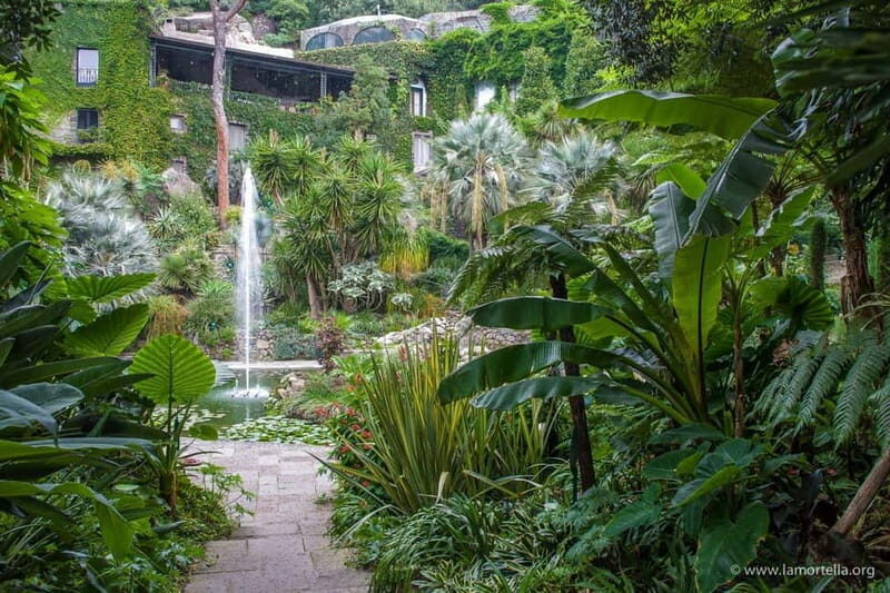 La Mortella Gardens excursion from Ischia - Who Will Love This Tour?
