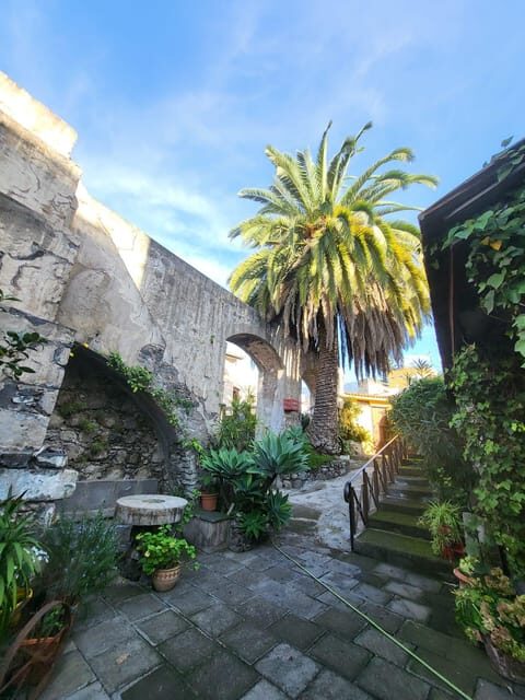 La Orotava: guided tour with gofio tasting, Los Molinos de la Villa - Exploring La Orotava’s Water Mills: A Deep Dive