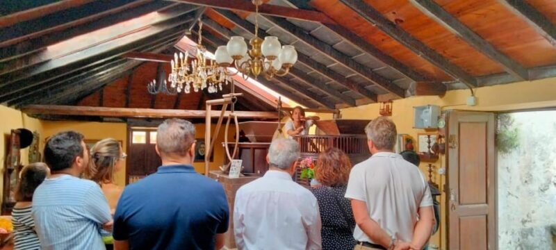 La Orotava: guided tour with gofio tasting, Los Molinos de la Villa - Final Thoughts