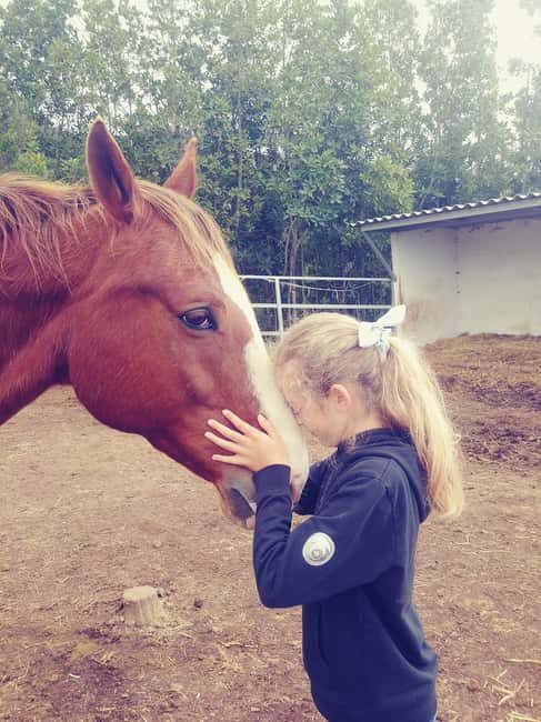 La Orotava: Workshop "Natural Horsemanship" and Permaculture - The Sum Up: Is This Experience Worth It?
