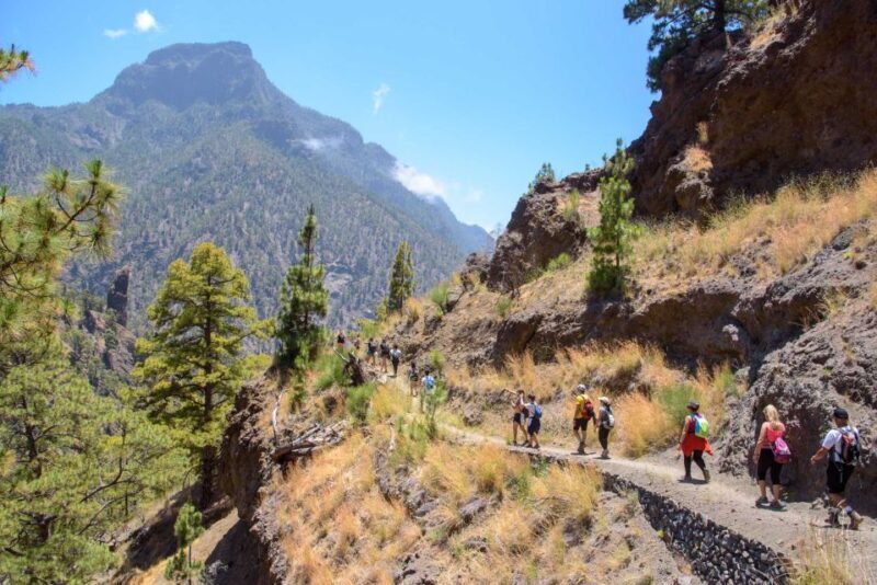 La Palma: Caldera de Taburiente National Park Guided Hike - Discover the Caldera de Taburiente with an Expert Guided Hike