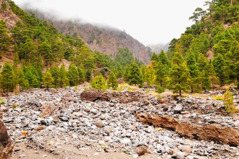 La Palma: Caldera de Taburiente National Park Guided Hike - Final Thoughts