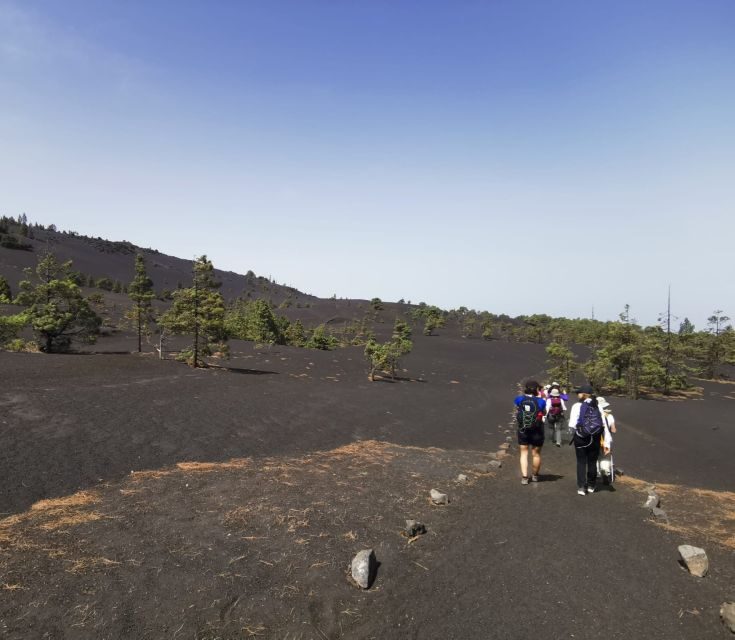 La Palma: Guided Tour to Tajogaite Volcano with Transfer - A Detailed Look at the Tajogaite Volcano Tour