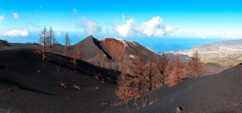 La Palma: Guided Tour to Tajogaite Volcano with Transfer - Who Should Consider This Tour?