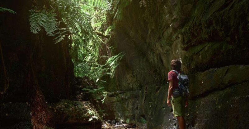 La Palma: Guided Trekking Tour To Cubo de la Galga - Who Will Love This Tour?