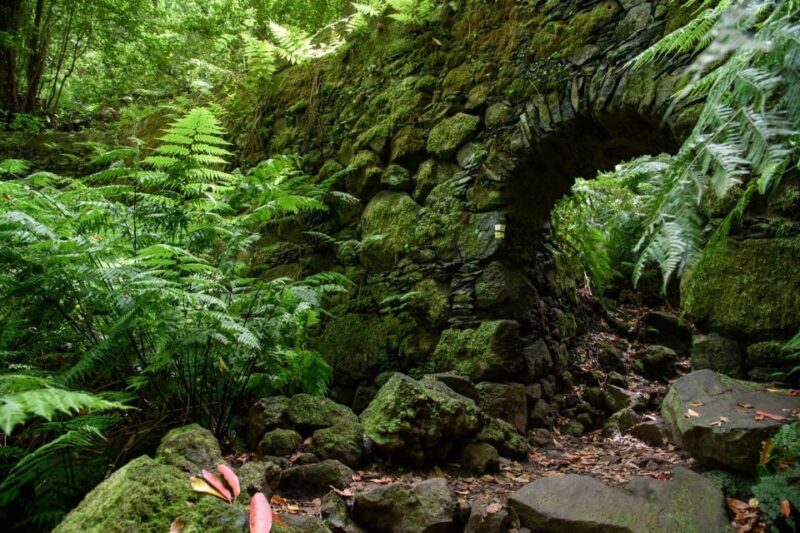 La Palma: Guided Trekking Tour To Cubo de la Galga - Practical Tips for Your Trek