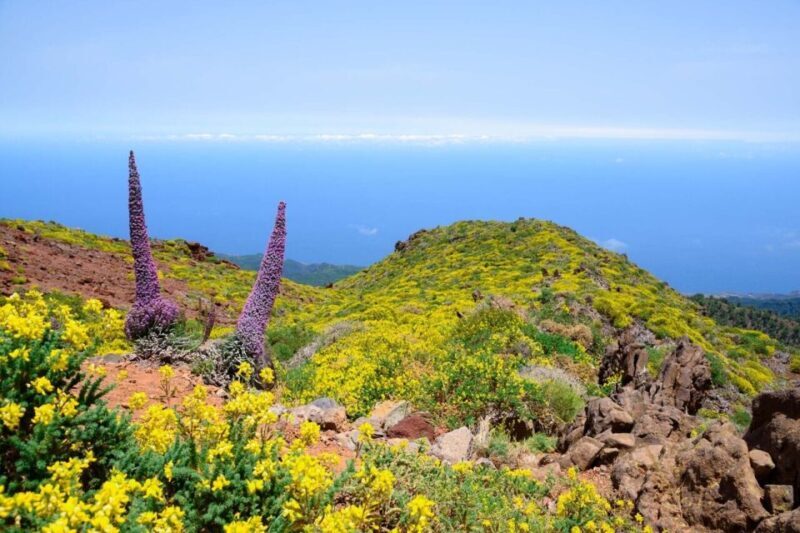 La Palma: Guided Trekking Tour to El Roque de los Muchachos - An In-Depth Look at the Trekking Tour to El Roque de los Muchachos