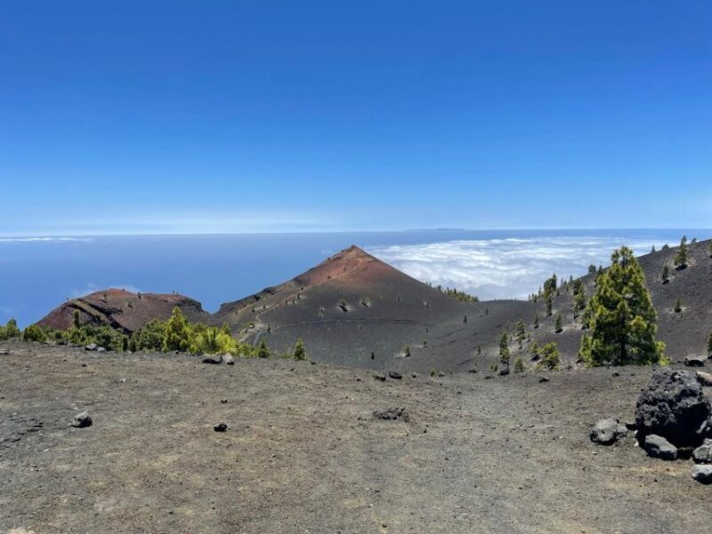 La Palma: Guided trekking tour to volcanoes south - An In-Depth Look at the La Palma Volcanoes Trek