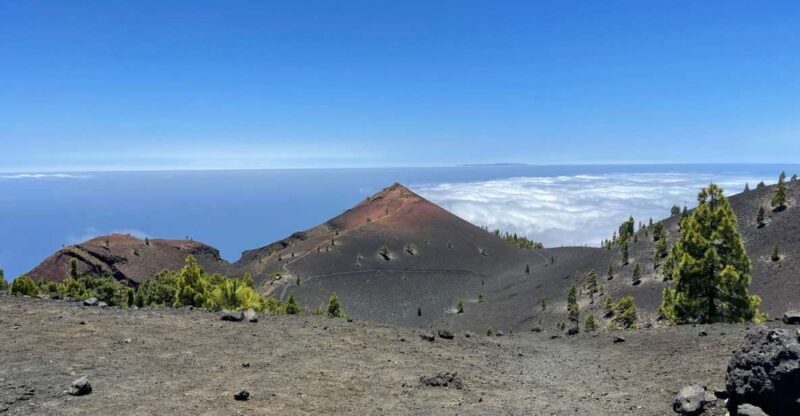 La Palma: Guided trekking tour to volcanoes south - Authentic Experiences and Real Traveler Insights