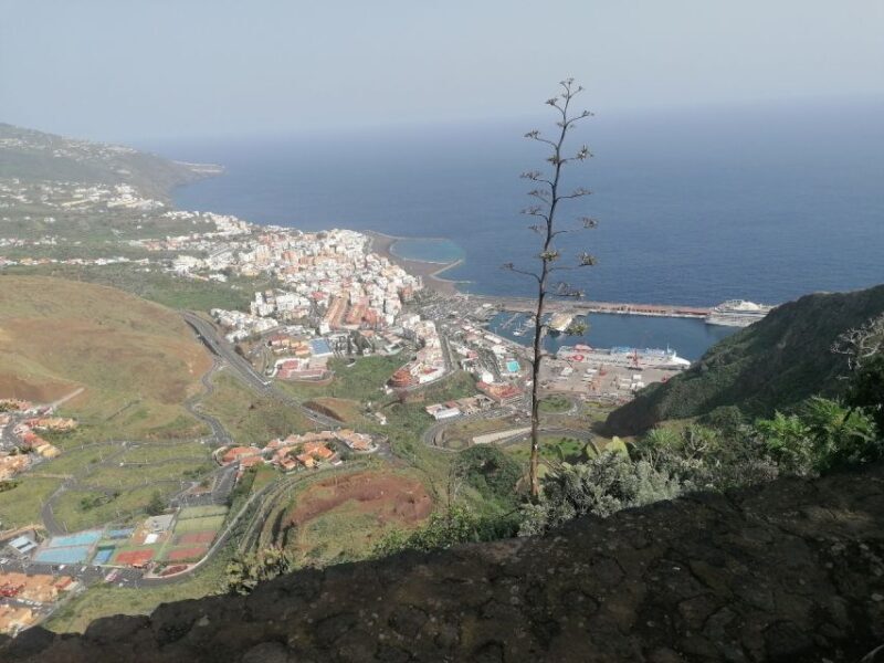 La Palma: Island Highlights Guided Bus Tour - Who Should Consider This Tour?