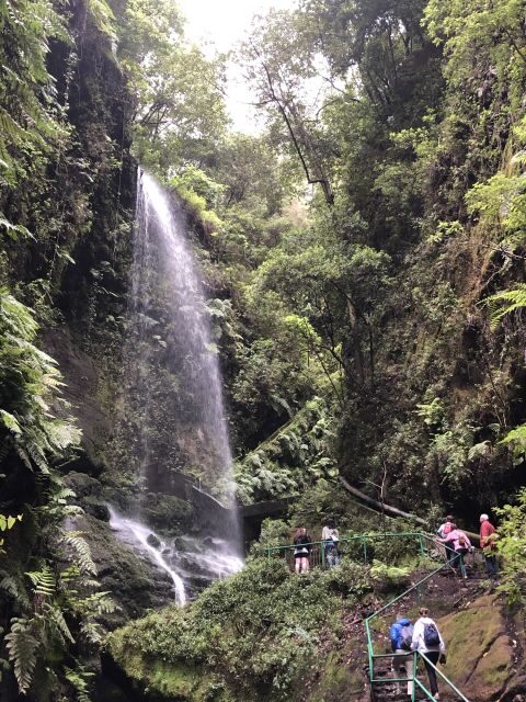 La Palma: North Island Bus Tour with Ron Aldea Distillery - Exploring La Palma’s North: What to Expect