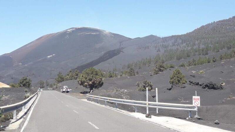 La Palma: San Antonio and Teneguia Volcanos Tour by 4x4 Bus - Exploring La Palma’s Volcanic South: A Practical Guide