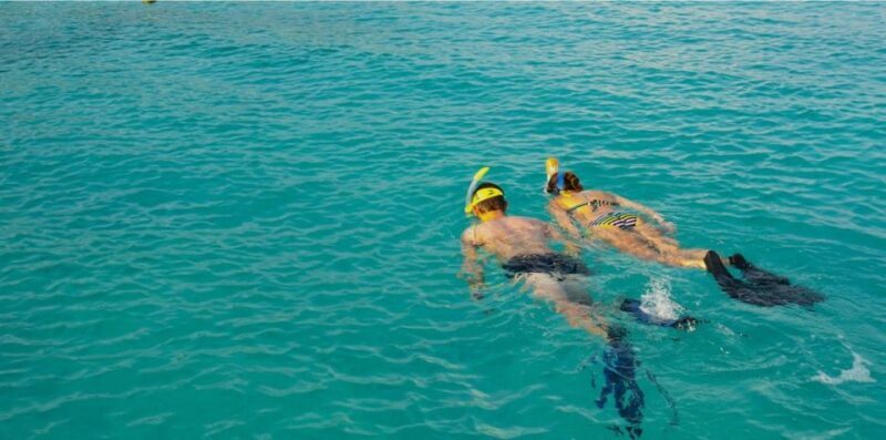 La Palma : Snorkeling Tour in Los Cancajos - Price & Value