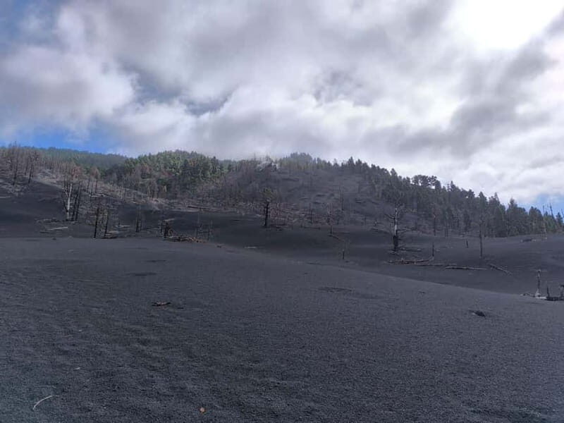 La Palma: Tajogaite Volcano Guided Hike ( ES-ED ) - Discover the Heart of La Palma’s Volcanoes with a Guided Hike to Tajogaite