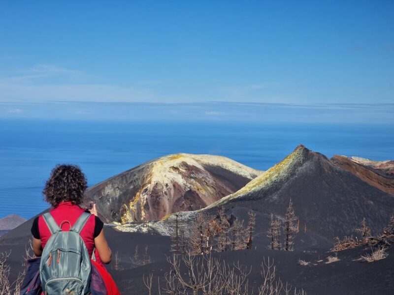 La Palma: Tajogaite Volcano Guided Trek - Exploring La Palma’s Volcano: The Tajogaite Guided Trek