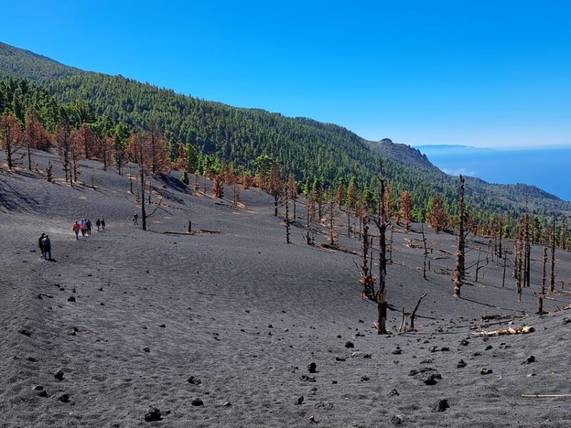 La Palma: Tajogaite Volcano Guided Trek - Who Should Consider This Tour?