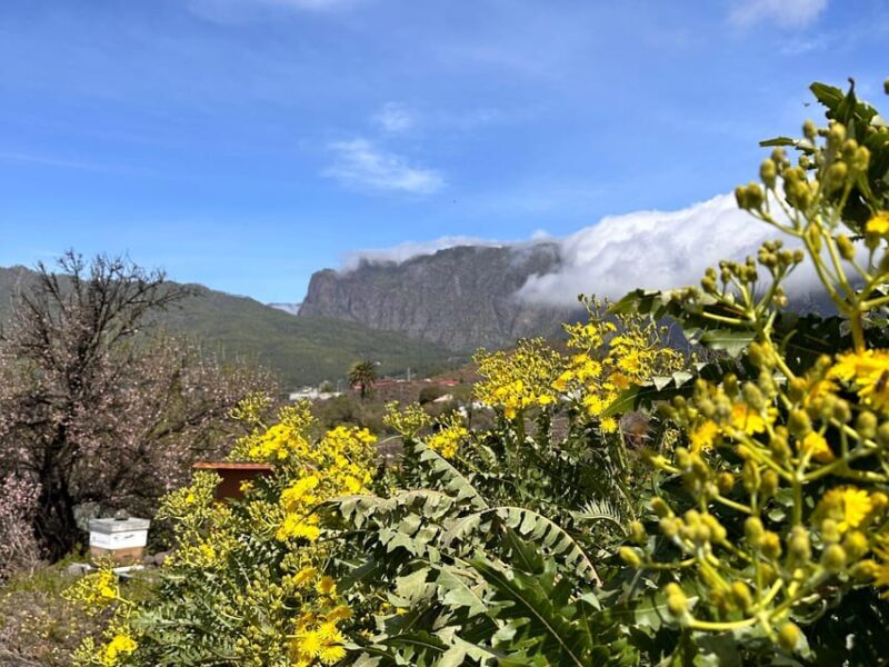 La Palma : Tour of an ecological farm w/ animals & tasting - FAQ