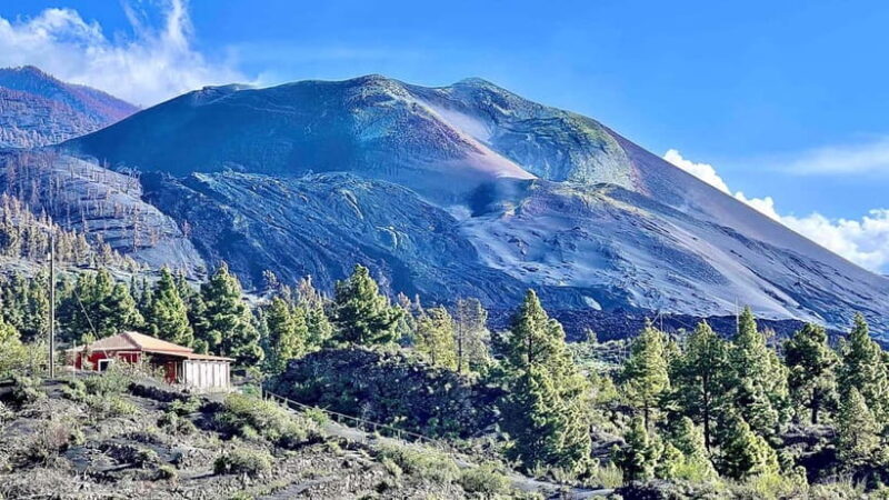 La Palma Tour: Santa Cruz, Cumbrecita and Volcanic Landscape - Final Thoughts
