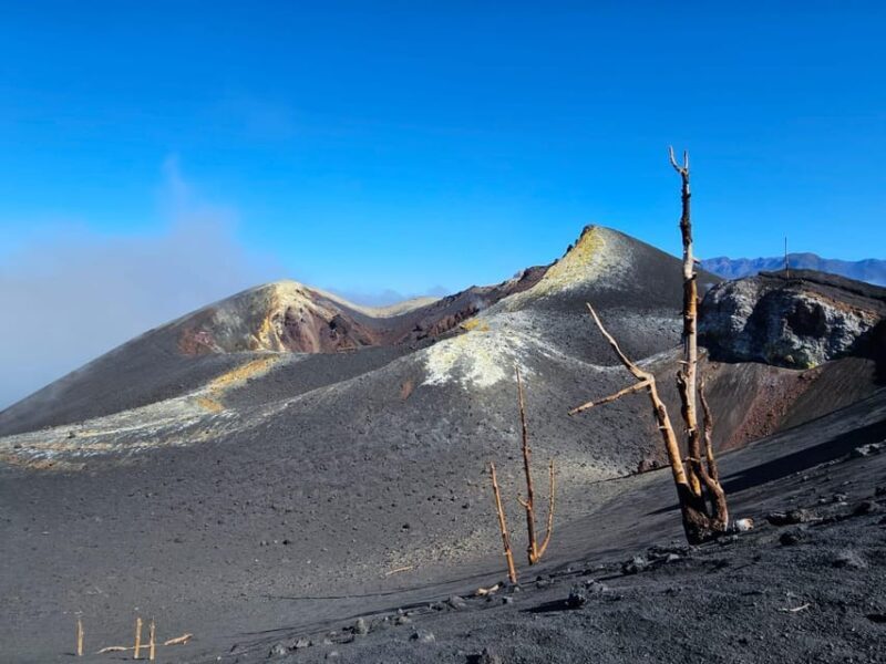 La Palma: Tour to the new Tajogaite volcano 360º. - Exploring La Palma’s Newest Marvel: The Tajogaite Volcano 360º Tour