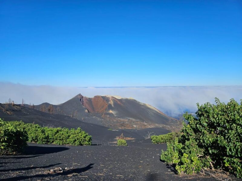 La Palma: Tour to the new Tajogaite volcano 360º. - FAQ: Your Questions Answered