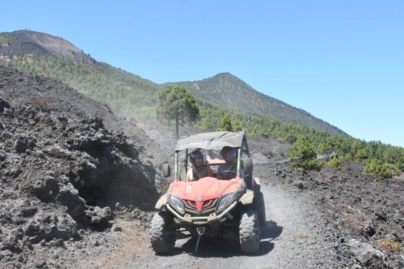 La Palma: Volcano Route Buggy Tour - Key Points