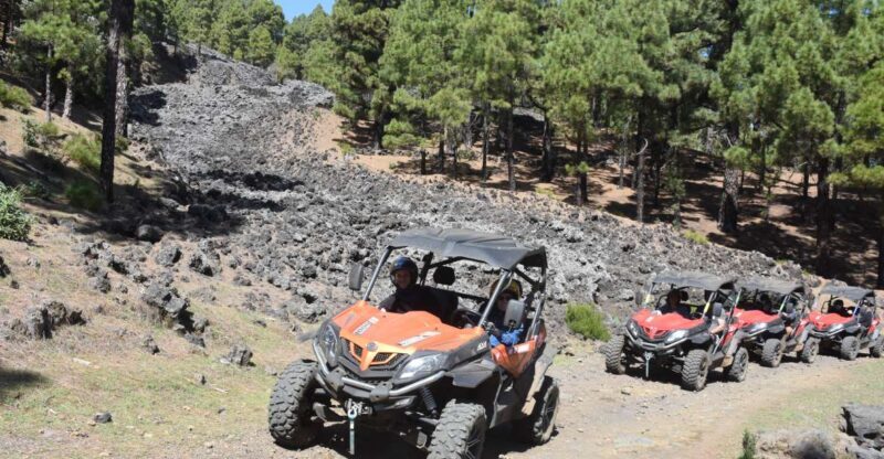 La Palma: Volcano Route Buggy Tour - Authentic Experiences and What Travelers Say