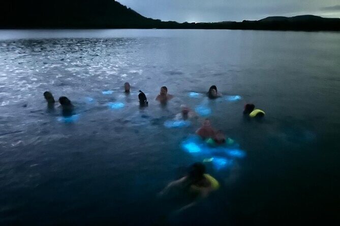 La Parguera Bio Bay Boat Ride and Swimming w/ San Juan Transport - Key Points