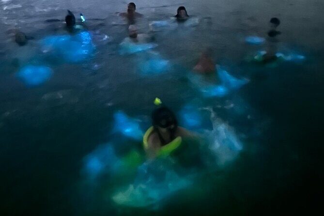 La Parguera Bio Bay Boat Ride and Swimming w/ San Juan Transport - Final Thoughts