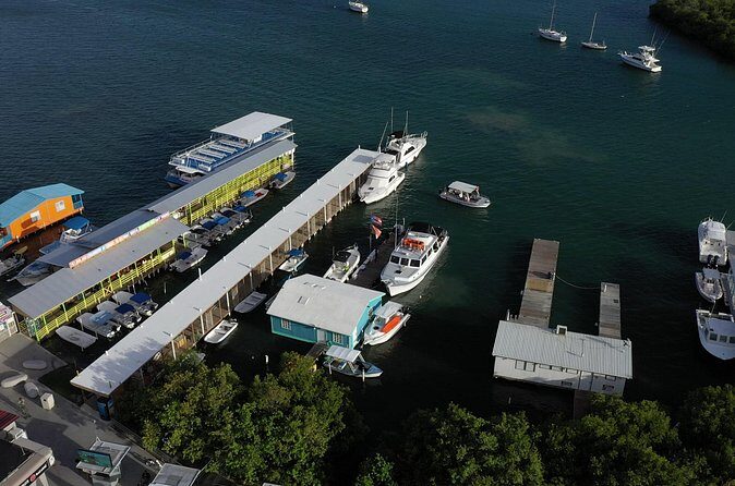 La Parguera Glowing Bioluminescent Bay Boat Tour from San Juan - Who Will Love This Tour?