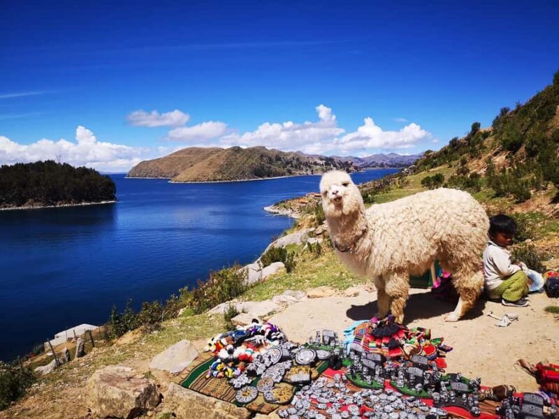 La Paz: 2-day Excursion to Lake Titicaca and Sun Island - Key Points