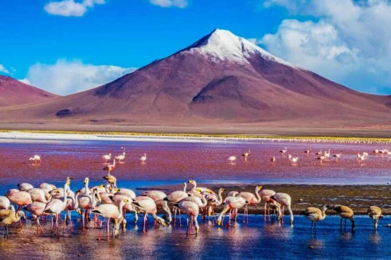 La Paz: 3D through Uyuni and San Pedro de Atacama - Who Will Love This Tour?