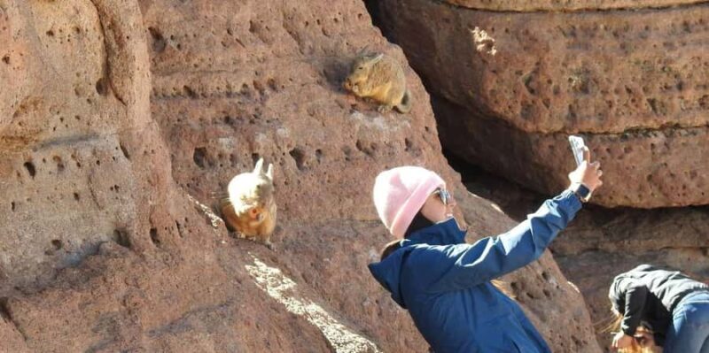 La Paz: 4-Day Death Road by bike and Uyuni Salt Flats Tour - FAQ