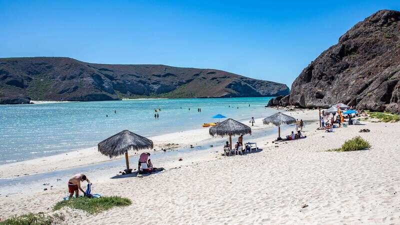 La Paz: Balandra or Tecolote amazing Beach Day Tour - Exploring the Highlights of the Tour