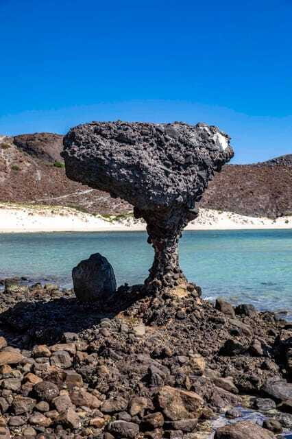 La Paz: Balandra or Tecolote amazing Beach Day Tour - Final Thoughts