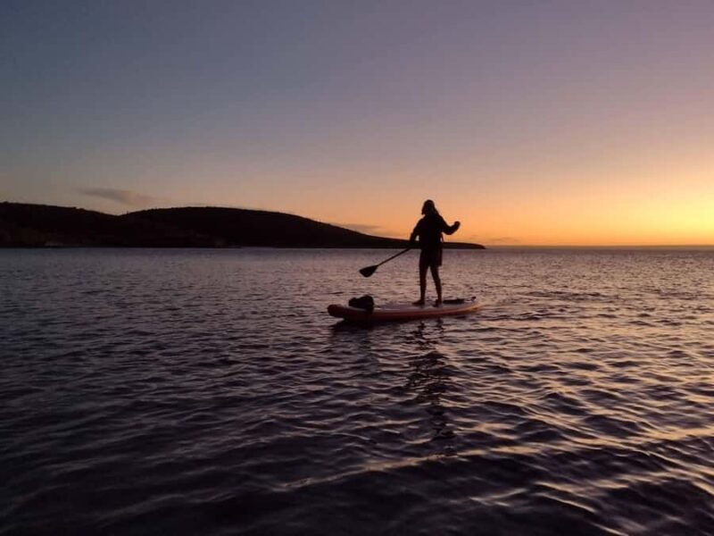 La Paz Bay Guided Paddleboarding and Snorkeling Tour - Key Points