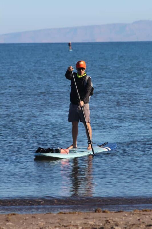 La Paz Bay Guided Paddleboarding and Snorkeling Tour - The Sum Up