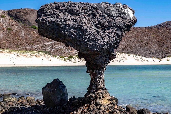 La Paz City Tour from Cabo - Exploring the Itinerary in Detail