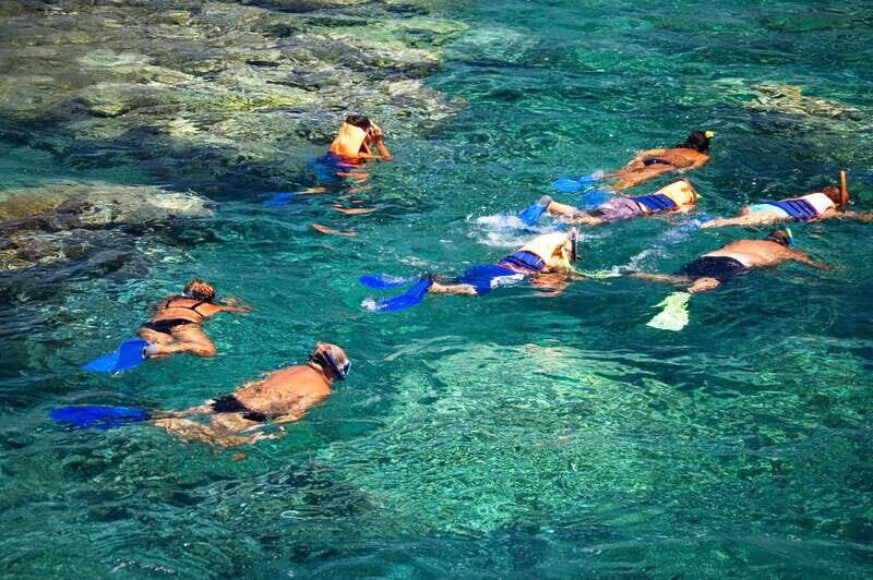 La Paz: Coral Farm Snorkel Tour - An In-Depth Look at the Coral Farm Snorkel Tour in La Paz