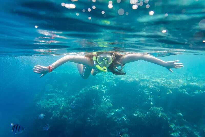 La Paz: Coral Farm Snorkel Tour - FAQ