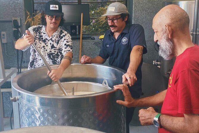 La Paz Cruisers: Craft Beer Tour with Tastings and Ceviche - Key Points