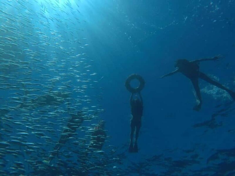 La Paz: Espíritu Santo Island Snorkeling Tour with Lunch - Final Thoughts: Who’s This Tour For?