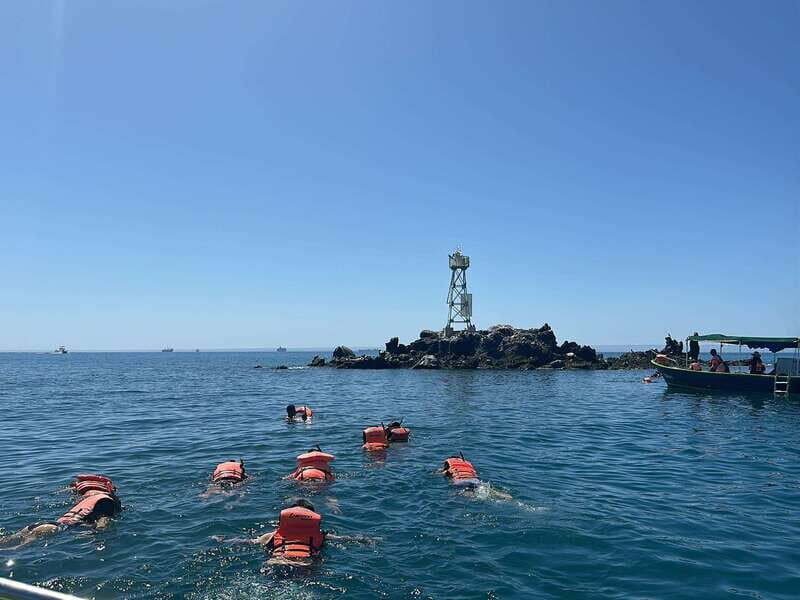 La Paz: Espiritu Santo Island Tour - Final Thoughts