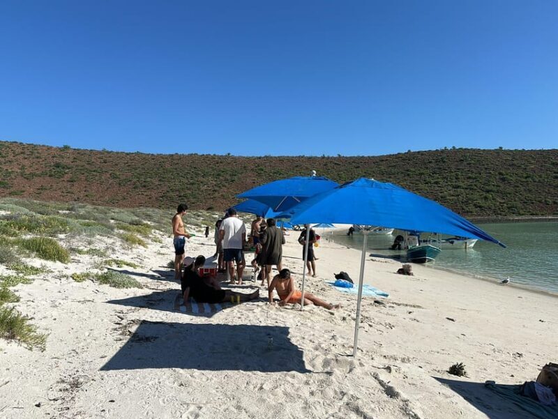 La Paz: Espiritu Santo Island Tour - FAQ