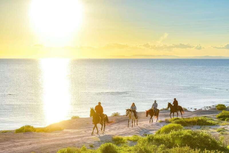 La Paz: Horseback Riding - Exploring the Details of the La Paz Horseback Riding Tour