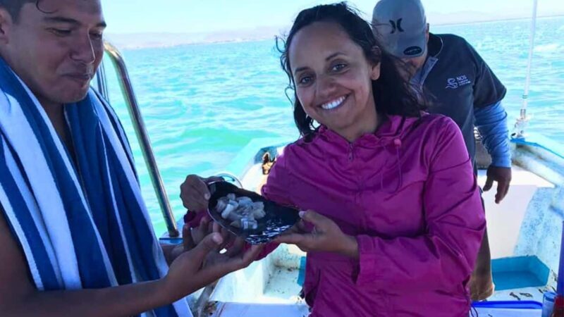 La Paz: Mangrove Adventure, Snorkeling and Shellfish Tasting - Why This Tour Offers Good Value