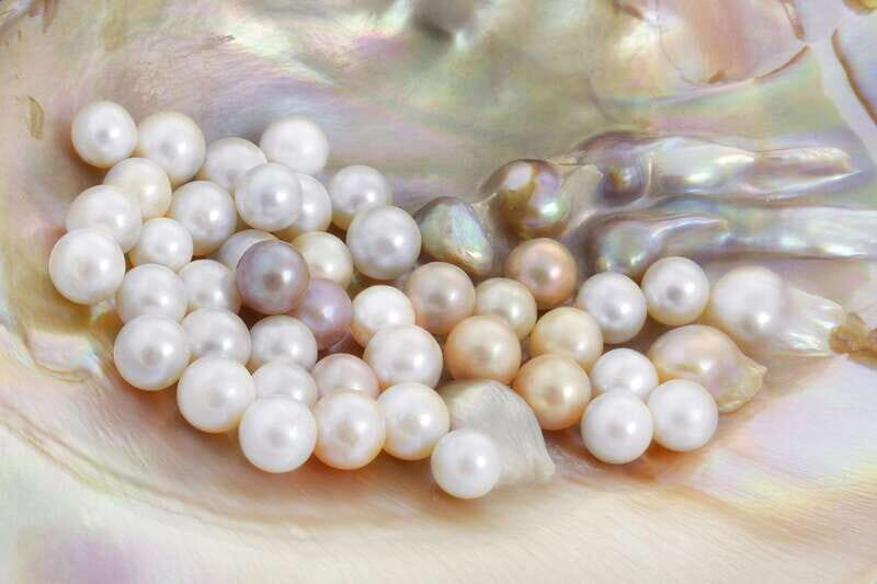 La Paz: Pearl Farm Experience and shop - Is This Tour Worth the Price?