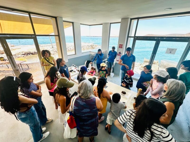 La Paz: Pearl Farm Experience and shop - FAQ