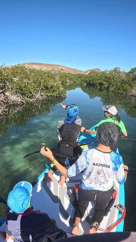 La Paz: Sea Lions & Mega-Paddleboard Tour in Balandra - FAQ