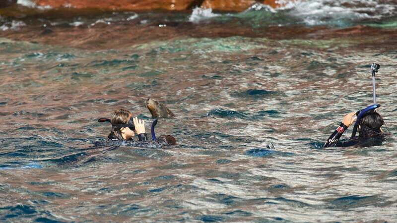 La Paz: Sea Lions & Mega-Paddleboard Tour in Espiritu Santo - Final Thoughts: Who Will Love This Tour?
